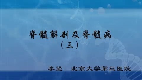 北京大学 脊髓解剖及脊髓病 全5讲 主讲-李坚 视频教程