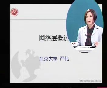 北京大学 计算机网络 全10讲 主讲-严伟 视频教程