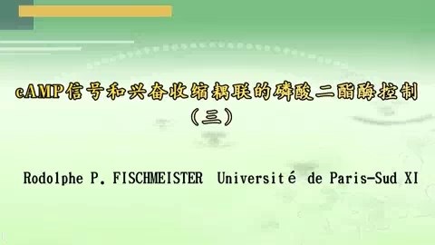 Université de Paris-Sud XI cAMP信号和兴奋收缩耦联的磷酸二酯酶控制 全3讲 主讲-Rodolphe 视频教程