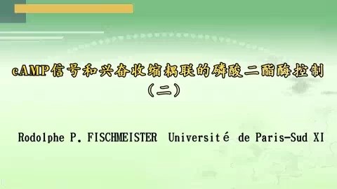 Université de Paris-Sud XI cAMP信号和兴奋收缩耦联的磷酸二酯酶控制 全3讲 主讲-Rodolphe 视频教程