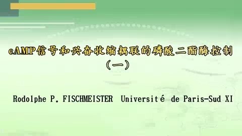 Université de Paris-Sud XI cAMP信号和兴奋收缩耦联的磷酸二酯酶控制 全3讲 主讲-Rodolphe 视频教程