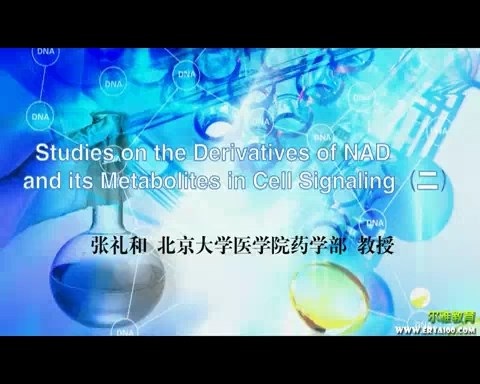 北京大学 Studies on the Derivatives of NAD and its Metabolites in Cell Signaling 全3讲 视频教程