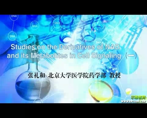 北京大学 Studies on the Derivatives of NAD and its Metabolites in Cell Signaling 全3讲 视频教程