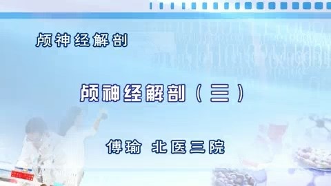 北医三院 颅神经解剖 全4讲 主讲-傅瑜 视频教程