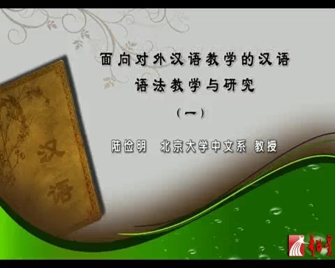 北京大学 面向对外汉语教学的汉语语法教学与研究 全4讲 主讲-陆俭明 视频教程