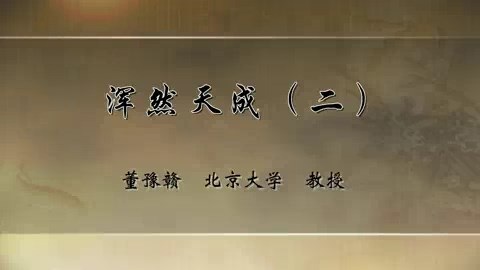 北京大学 浑然天成 全4讲 主讲-董豫赣 视频教程