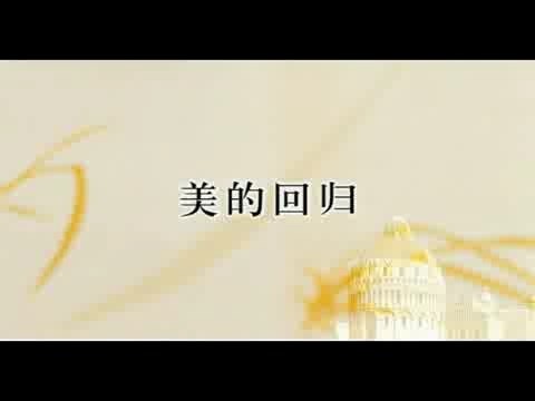 北京大学 美的回归 全3讲 主讲-彭锋 视频教程