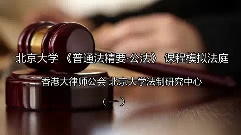 北京大学 普通法精要-公法-模拟法庭 全12讲 主讲-强世功 视频教程