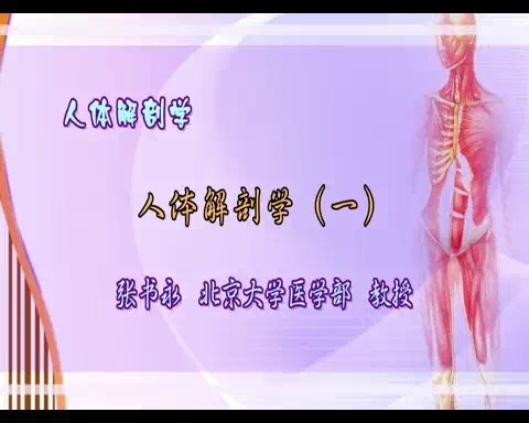 北京大学 人体解剖学 全15讲 主讲-张书永 视频教程