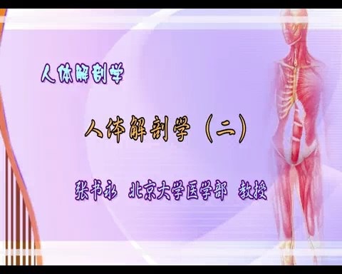 北京大学 人体解剖学 全15讲 主讲-张书永 视频教程