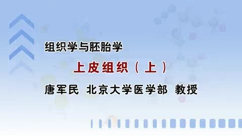 北京大学 组织学与胚胎学 全26讲 主讲-唐军民 视频教程