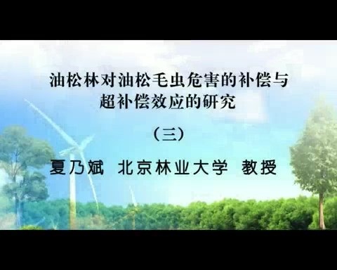 北京林业大学 油松林对油松毛虫危害的补偿与超补偿效应的研究 全5讲 主讲-夏乃斌 视频教程