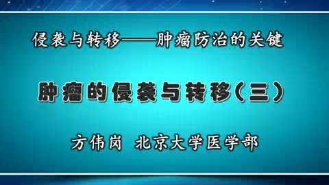 北京大学 肿瘤转移研究进展 全6讲 主讲-方伟岗 视频教程