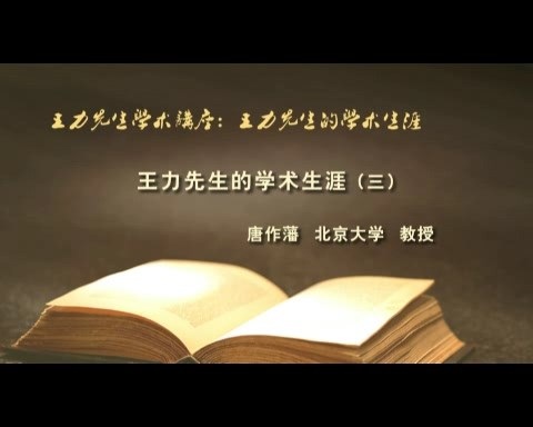 北京大学 王力先生学术讲座-王力先生的学术生涯 全4讲 主讲-唐作藩 视频教程