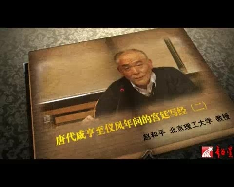 北京理工大学 唐代咸亨至仪凤年间的宫廷写经 全3讲 主讲-赵和平 视频教程