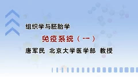 北京大学 组织学与胚胎学 全26讲 主讲-唐军民 视频教程