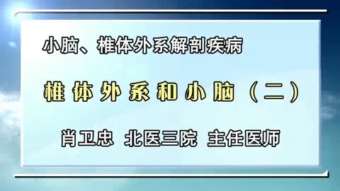 北京大学 小脑.椎体外系解剖疾病 全4讲 主讲-肖卫忠 视频教程
