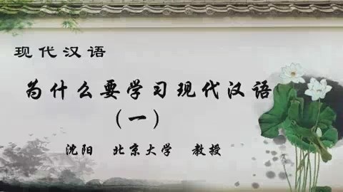 北京大学 现代汉语 全87讲 主讲-沈阳 视频教程