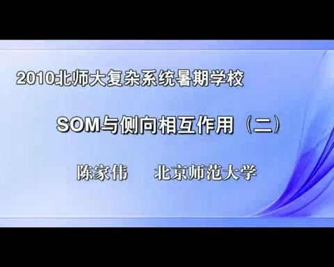 北京师范大学 Som与侧向相互作用 全2讲 主讲-陈家伟 视频教程