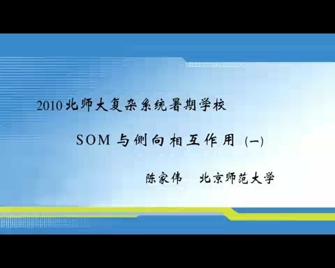 北京师范大学 Som与侧向相互作用 全2讲 主讲-陈家伟 视频教程