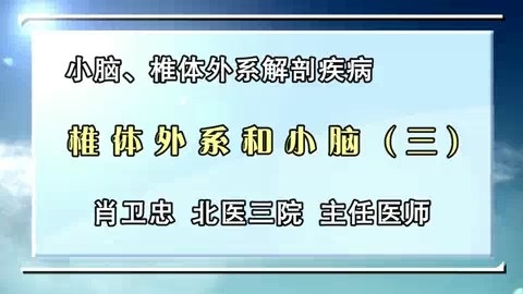 北京大学 小脑.椎体外系解剖疾病 全4讲 主讲-肖卫忠 视频教程