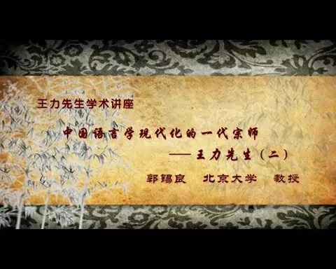 北京大学 王力先生学术讲座-中国语言学现代化的一代宗师 全3讲 主讲-郭锡良 视频教程