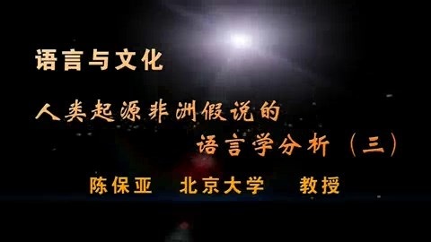 北京大学 语言与文化 全33讲 主讲-陈保亚 视频教程