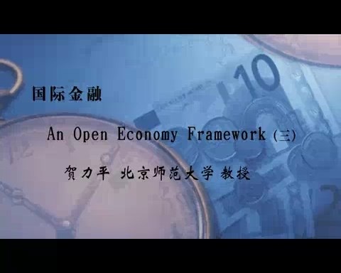 北京师范大学 国际金融 全16讲 主讲-贺力平 视频教程