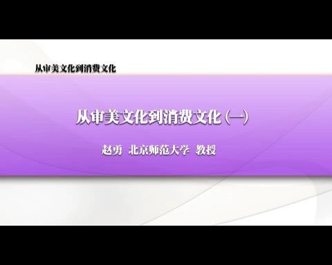 北京师范大学 从审美文化到消费文化 全6讲 主讲-赵勇 视频教程