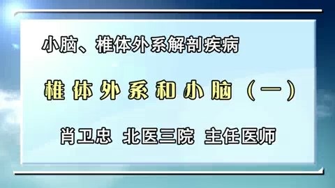 北京大学 小脑.椎体外系解剖疾病 全4讲 主讲-肖卫忠 视频教程