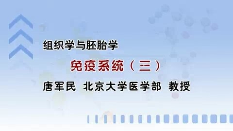 北京大学 组织学与胚胎学 全26讲 主讲-唐军民 视频教程