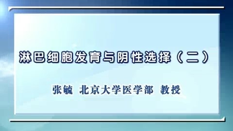 北京大学 淋巴细胞发育与阴性选择 全4讲 主讲-张毓 视频教程