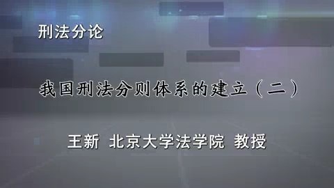 北京大学 刑法分论 全84讲 主讲-王新 视频教程