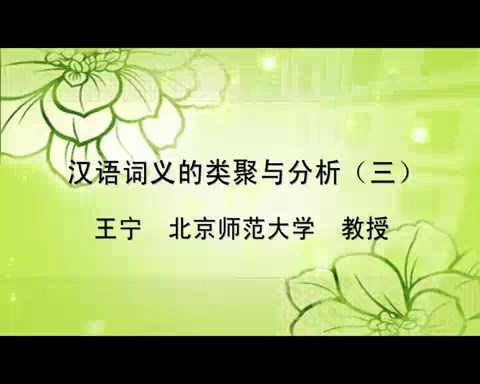 北京师范大学 汉语词义的类聚与分析 全7讲 主讲-王宁 视频教程