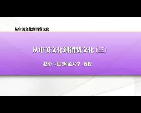 北京师范大学 从审美文化到消费文化 全6讲 主讲-赵勇 视频教程