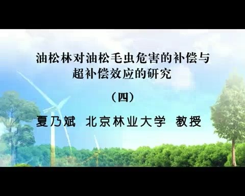 北京林业大学 油松林对油松毛虫危害的补偿与超补偿效应的研究 全5讲 主讲-夏乃斌 视频教程