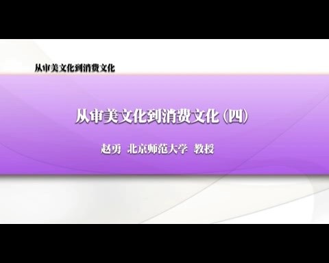 北京师范大学 从审美文化到消费文化 全6讲 主讲-赵勇 视频教程