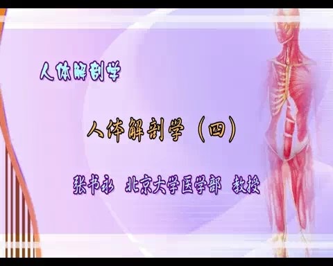 北京大学 人体解剖学 全15讲 主讲-张书永 视频教程