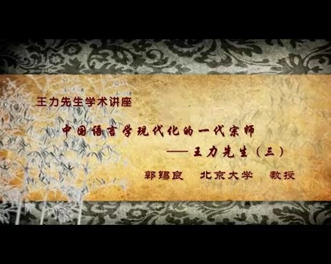 北京大学 王力先生学术讲座-中国语言学现代化的一代宗师 全3讲 主讲-郭锡良 视频教程
