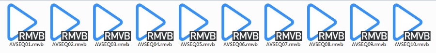 各式太极拳-太极扇-太极剑 爱好者必备 【太极功夫扇】237M RMVB 视频教程