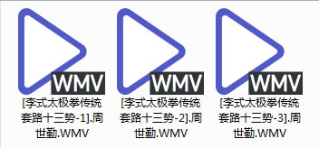 各式太极拳-太极扇-太极剑 爱好者必备 【李式太极拳简介-传统套路13势】592M WMV 视频教程
