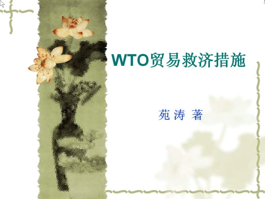 南开大学 WTO经济学专题 全36讲 视频教程