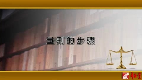 国家法官学院 大法官和资深法官系列法律讲座-量刑规范化改革 全7讲 主讲-高憬宏 视频教程