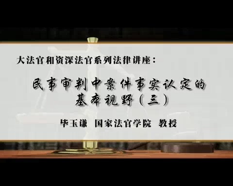 国家法官学院 大法官和资深法官系列法律讲座 全6讲 主讲-毕玉谦 视频教程