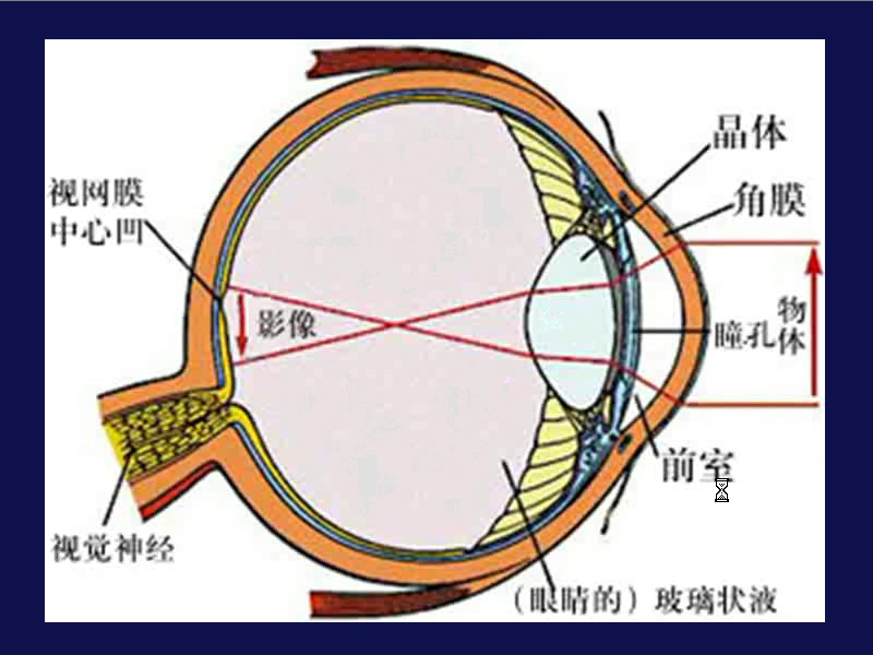 同济大学 数字图像处理 全23讲 主讲-韩春梅 视频教程