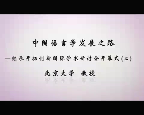 清华大学 中国语言学发展之路-继承开拓创新国际学术研讨会 全125讲 视频教程