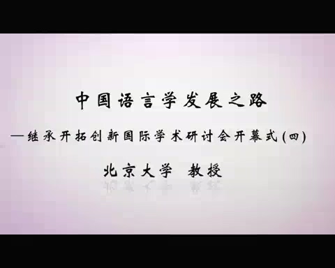 清华大学 中国语言学发展之路-继承开拓创新国际学术研讨会 全125讲 视频教程