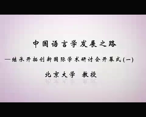清华大学 中国语言学发展之路-继承开拓创新国际学术研讨会 全125讲 视频教程