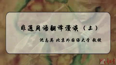 北京外国语大学 非通用语翻译漫谈 全2讲 主讲-沈志英 视频教程