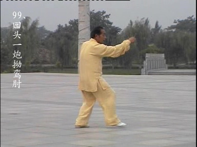 各式太极拳-太极扇-太极剑 爱好者必备 【陈氏太极长拳108式-王振华】200M DAT 视频教程